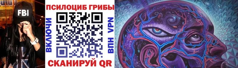 Псилоцибиновые грибы прущие грибы omg Октябрьск